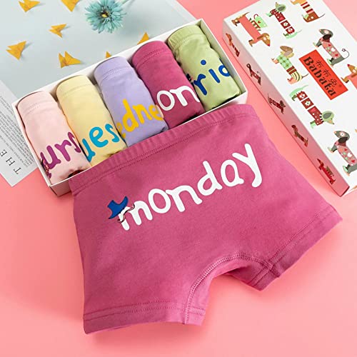 Toddler Girl Underwear Kids Panties Baby Briefs Days of The Week Underpants Pack of 53