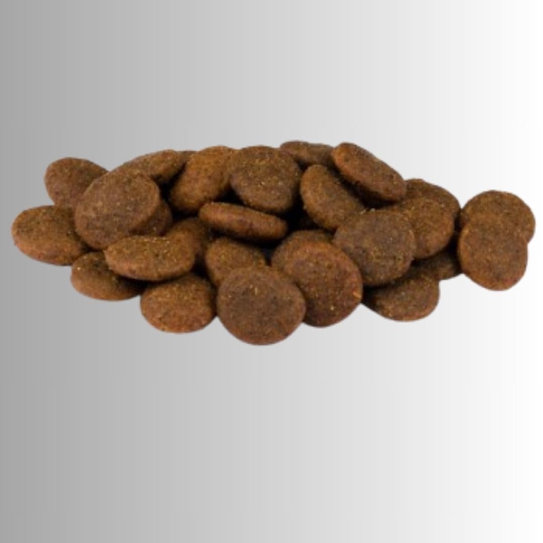ANIMALUJOS - Carnilove True Fresh 4 kg + Lata Comida Húmeda 400 g Gratis | Pavo, Ternera o Pescado | Pienso Natural sin Cereales | Alta Digestibilidad Alimento para Perros (Ternera 4Kg + Regalo)