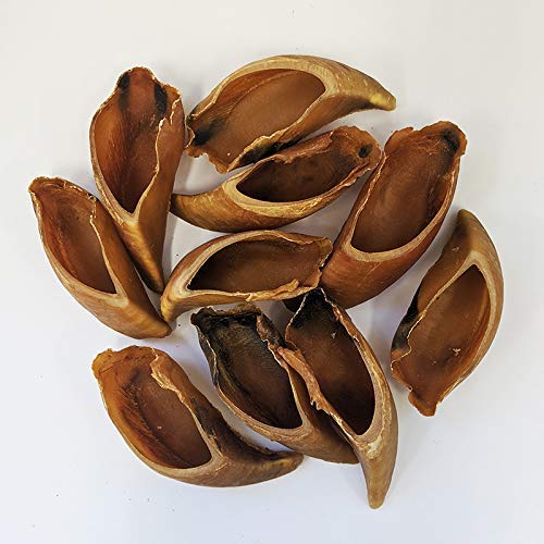 無添加 牛のひづめ スモーク10個入り 犬のおやつ 無添加 牛のひづめ スモーク10個入り 犬のおやつ