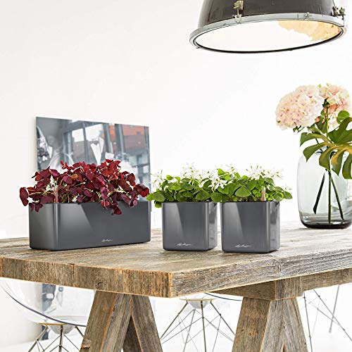LECHUZA CUBE 13670 Glossy Triple, wit, gelakt oppervlak, hoogwaardige kunststof, borduurbewateringssysteem, voor binnen… - Image 4