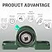 Gisafai 8 Pcs UCP202-10 Pillow Block Bearing with 5/8