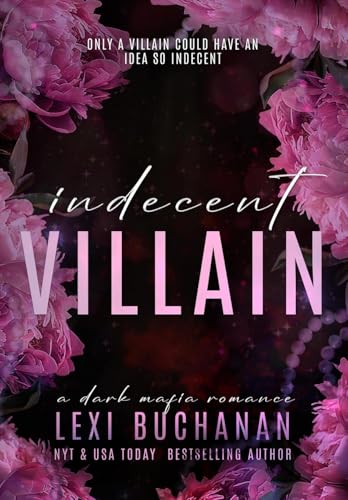 Indecent Villain view 2