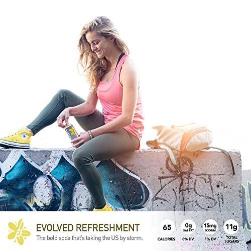 Pura Soda - Real Lemon And Elderflower Flavor Carbonated Soft Drink - Case Of 12 Cans (10,1 Fl Oz/300Ml) - 65 Calories - Pure Cane Sugar - 100% Natural Flavors – No Preservatives #TOP2