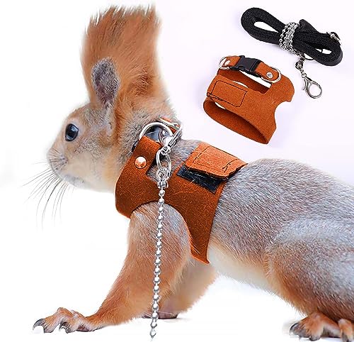 Harnais de promenade pour écureuil et petits animaux avec laisse réglable - 2