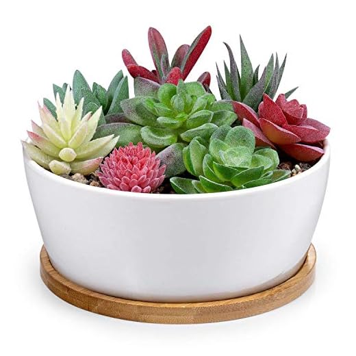 Binwen 6.5 inch Round Ceramic White Succulent Cactus Planters Pots with Drainage Bamboo Trays - Plants Not Included