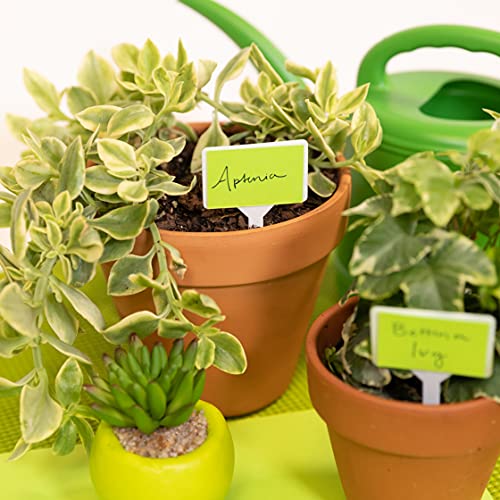 Wausau Astrobrights Color Paper, 11” X 17”, 24 Lb/89 Gsm, Terra Green, 500 Sheets (22583) #TOP2