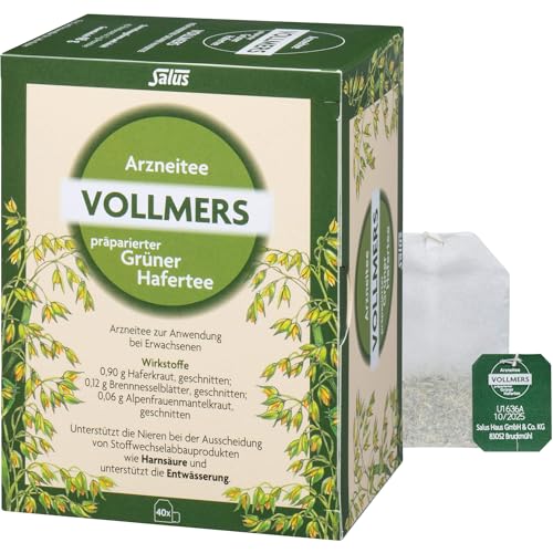 VOLLMERS präparierter grüner Hafertee Filterbeutel 40 St