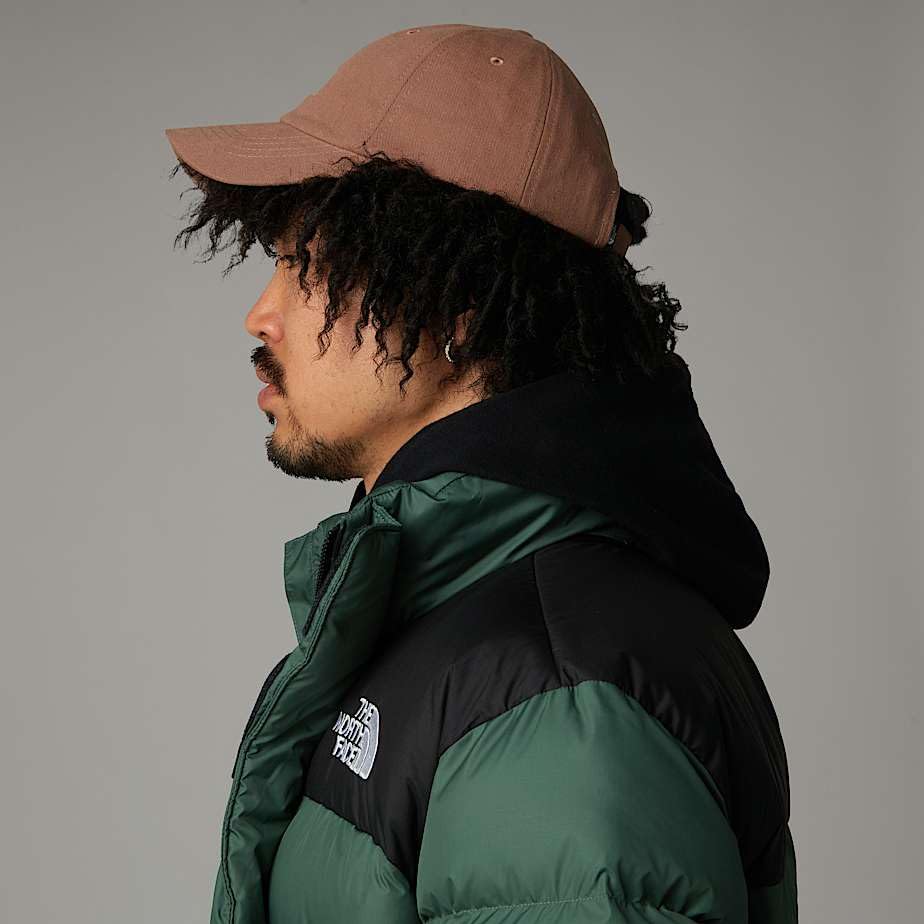 Image of The North Face Norm Baseball Hat | Shallow Fit Ball Cap with Embroidered Logo, Adjustable Strap Closure & Silver Buckle