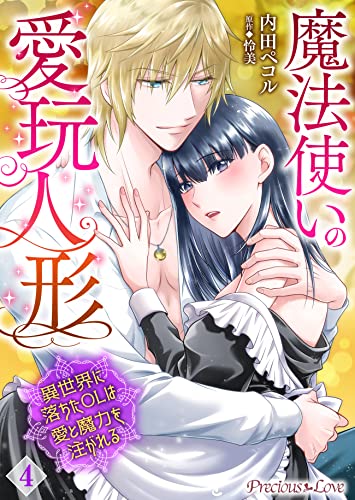 魔法使いの愛玩人形 異世界に落ちたOLは愛と魔力を注がれる04 (Precious Love)