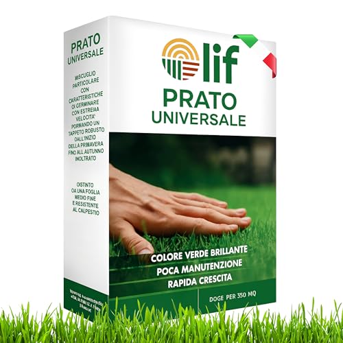 Semi Prato UNIVERSALE Per 35/40MQ, INDISTRUTTIBILI al Sole - Crescita Rapida In 14 Giorni, Tappeto Erboso Fitto, Semi Prato Crescita Rapida Resistenti al Calpestio - Adattabile a Tutti i Terreni - 1kg