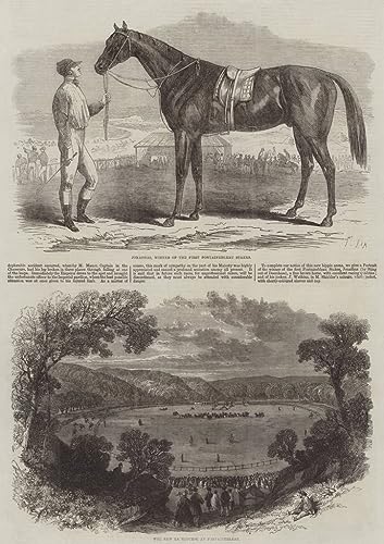 Toile New Racecourse At Fontainebleau comblez vos murs vides avec l'art de Frederic Lix