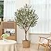 LOMANTO Olive Trees Artificial Indoor, 7Ft Artificial Olive Plants, Tall Faux Olive Tree, Fake Topiary Silk Tree in Pot with Olive Branch & Fruit, Home Office Modern Decor Gift for Housewarming 1Pack