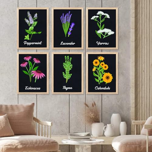 Image of kotart Kitchen Herbs Digital Painting for Wall Decoration - Minimal Cooking Art Prints Restaurant Dinning Room Decor (14X20 Inch, E) Pack of 6