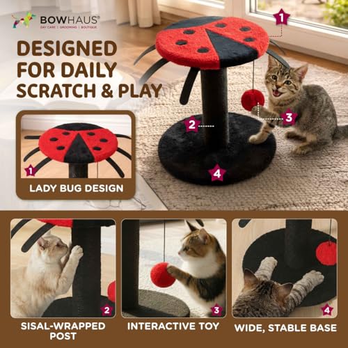 Rascador para gatos CAPHAUS estilo Mariquita 9x9x10 in miniatura 3
