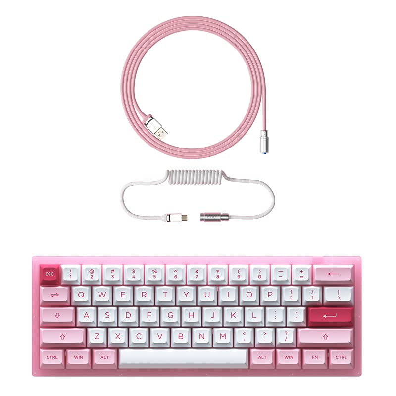 Buy Akko ACR61 61Key 60 RGB Hotswappable Wired Mechanical Gaming