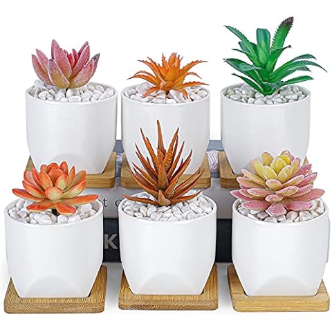 6pcs Succulent Plant Pots, Small White Flower Plant Pots with Drainage Tray Ceramic Pots for Indoor/Outdoor Cactus Plants Perfect for Garden Home Office Decor Cover