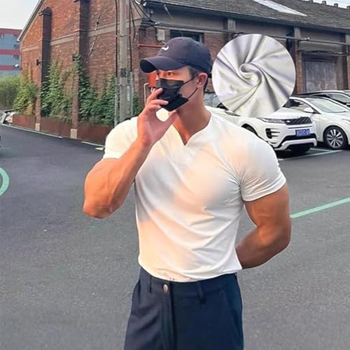 Lininco Mens Shirts, Braylen Stylish T-Shirt, 2025 Business Fitness Tee, V Neck Fitness Muscle T Shirt2