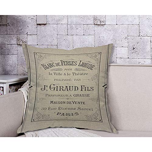 Aoyego Vintage French Perfume Paris France Chic Throw Pillow Cover Paris France Blanc De Perles Liquide Perfume Simple Chic Pillow Case 18X18 Inch Decorative Men Women Boy Girl Room Cushion Cover #TOP3