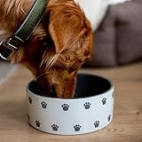 Nobby Hunde Keramiknapf PATA Creme-grau Ø18 x 7 cm / 1,10 l