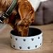 Nobby Hunde Keramiknapf PATA Creme-grau Ø18 x 7 cm / 1,10 l
