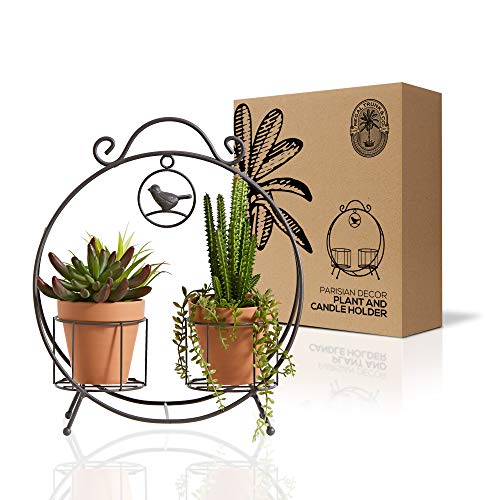 Regal Trunk 2 Potted Plant Stands and Candle Holders - Rustic and Modern Style for Indoor and Outdoor - Ideal for Flower Pots and Small Plants Cover