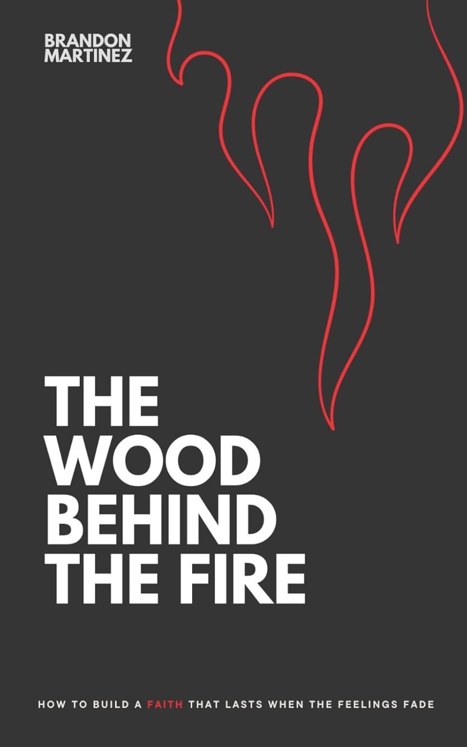THE WOOD BEHIND THE FIRE: How to build a faith that lasts when the feelings fade      Paperback – March 11, 2026