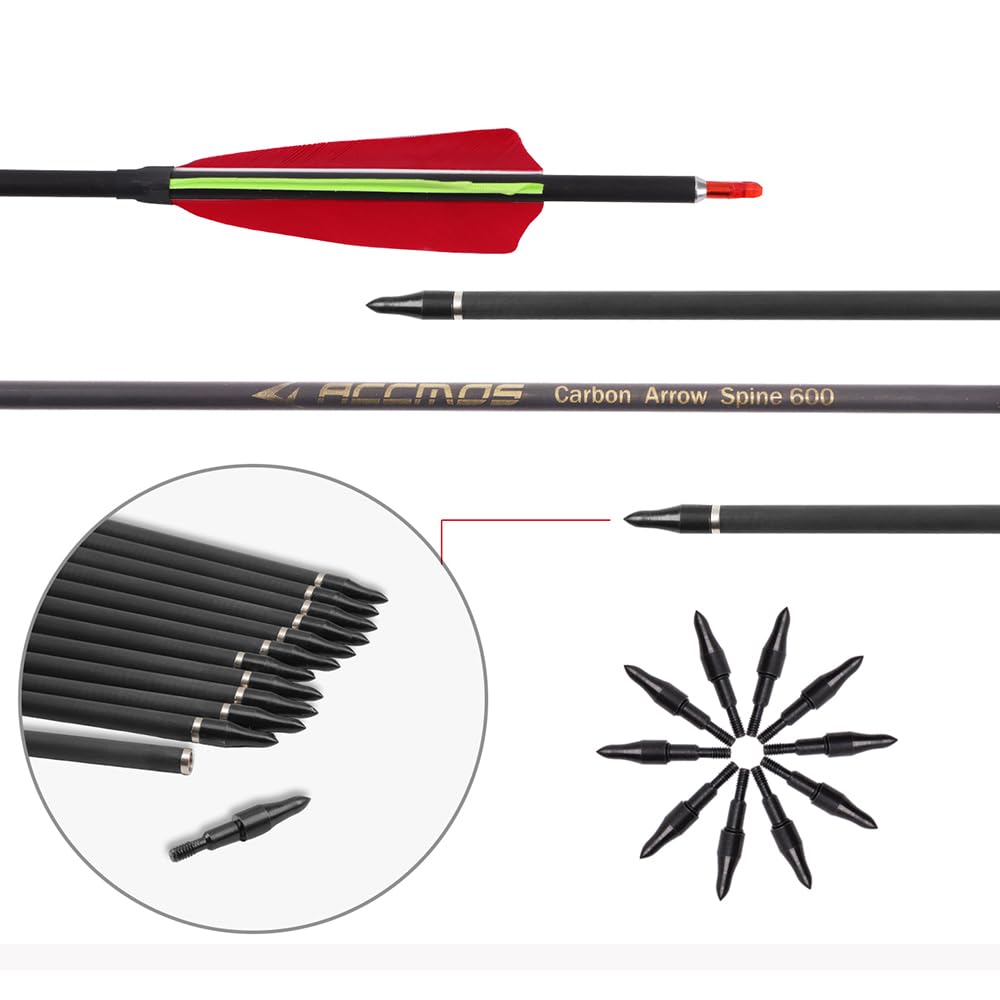 12 Pezzi Frecce da Tiro con L'Arco ID 6,2 mm Etichetta Dorata Freccia da Pratica, Spine 300 350 400 500 600 700 Freccia da Caccia 4 Pollici Rosso Verde Piume di Tacchino