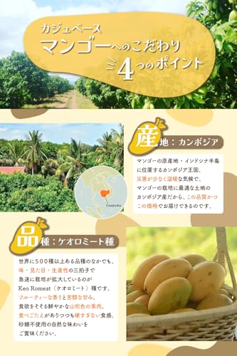 カジュベース ドライマンゴー 400g