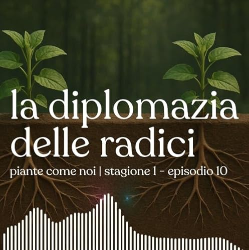 La diplomazia delle radici - Stagione 1 | Episodio 11