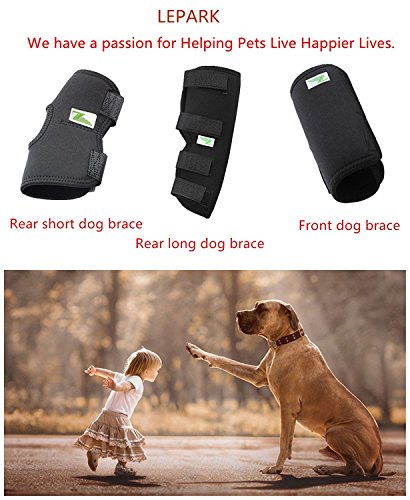 Dog Leg Brace One Pair Heals Hock Joint Wrap Sleeve For Front Legs(M/Front) #TOP6