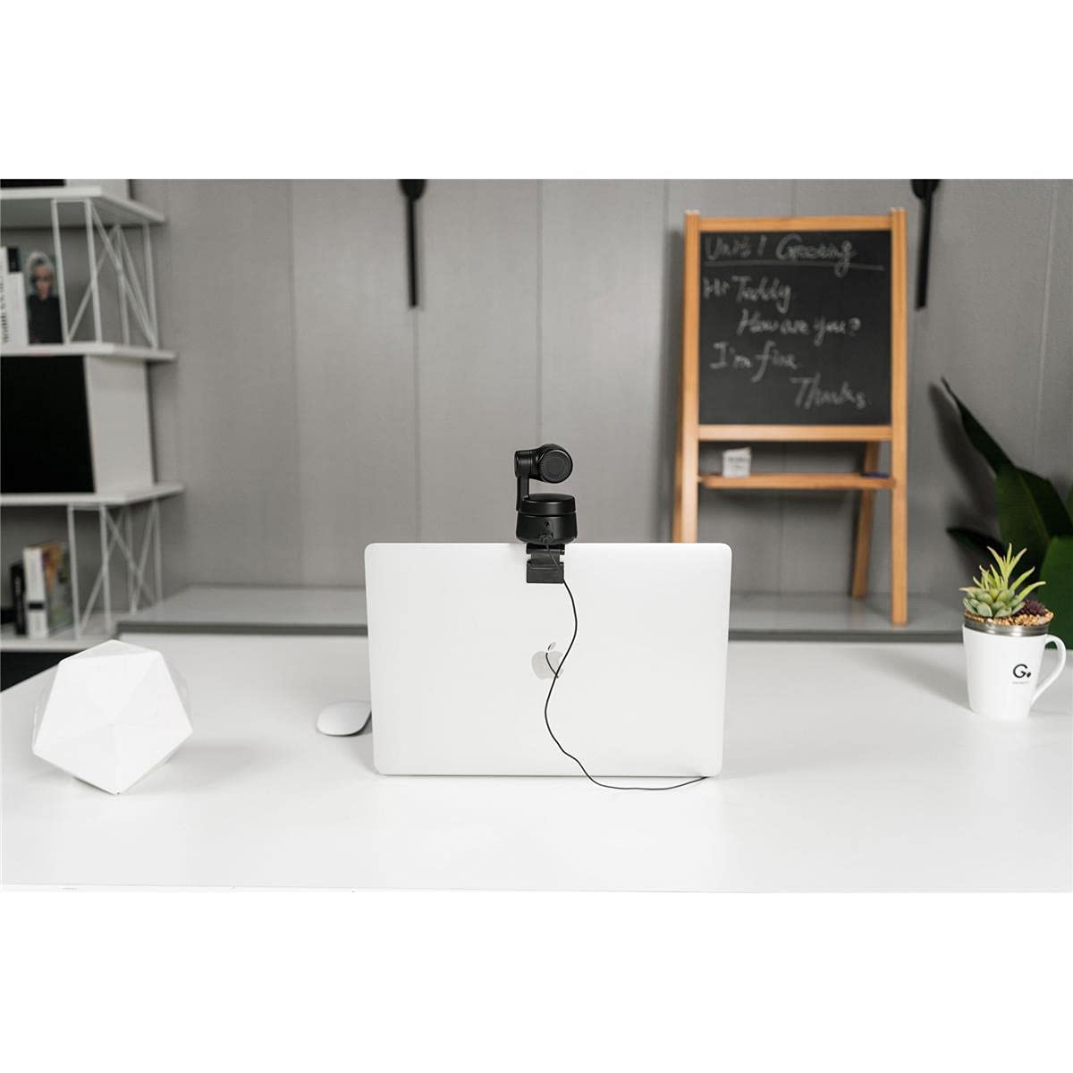 OBSBOT Tiny 2 Webcam 4K Voice Control PTZ, AI Tracking Multi-Mode & Auto Focus, Web Camera with 1/1.5" Sensor, Gesture Control, 60 FPS, HDR Light Correction, Webcam for PC, Streaming, Meeting, etc.