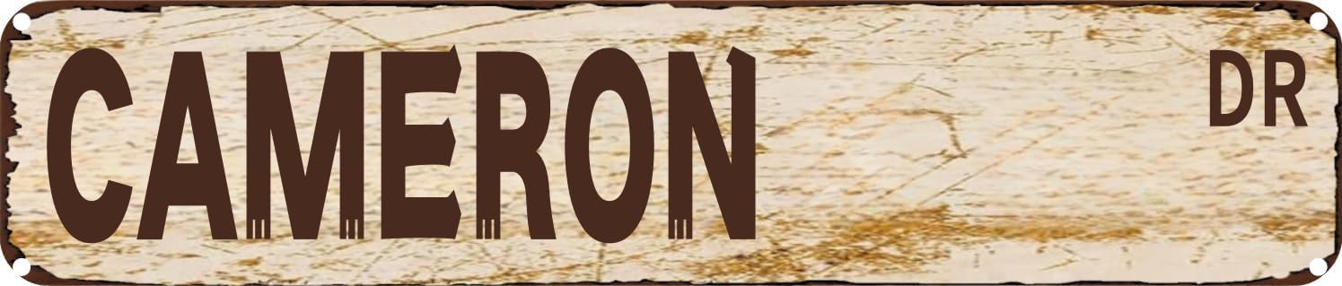 Vintage Tin Sign Retro Metal Wall Decor CAMERON DR Rustic Aluminum Plaque for Home,Bar,Kitchen,Garage,Man Cave 4x16 Inch
