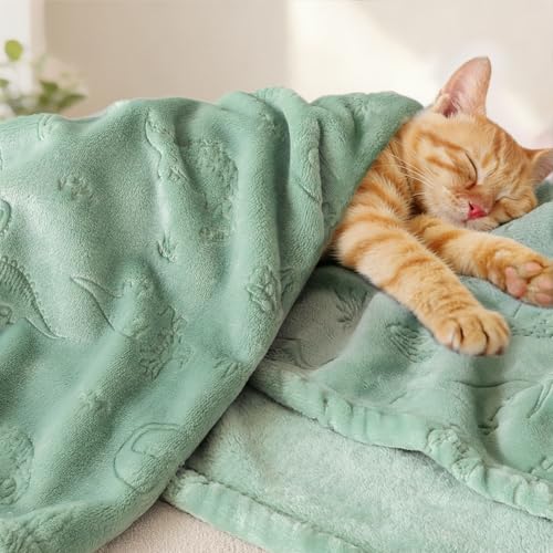 Image of BORITAR Baby Blanket for Boys Girls, Ultra Soft Warm 3D Animal Print Blanket for Newborn Infant Toddler, Fleece Fluffy Blanket for Crib, Stroller (30x40 Inches, Sage Green)