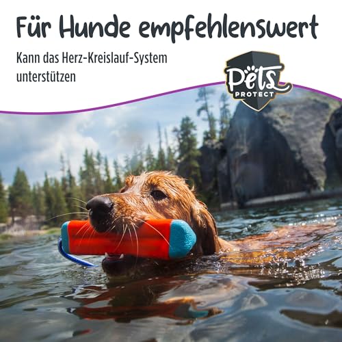 Pets Protect 100% reines TAURIN-Pulver für Katzen & Hunde 150 g | Gesunderhaltung Netzhaut & Organfunktion | Immunsystem & Stoffwechsel | Stärkung von Herzkreislaufsystem | Deutsche Herstellung