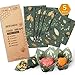 Beeswax Wrap Assorted 5 Packs, Eco Friendly Reusable Food Wraps, Biodegradable, Non-Toxic &Sustainable Plastic Free Food Storage- 1 Small, 3 Medium, 1 Large- Say Goodbye to Plastic