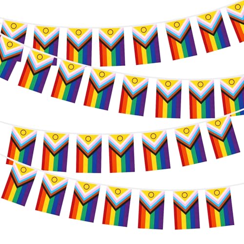 10 Meter Progress Pride Bunting Banner Gay LGBTQ Rainbow Pride Banner Gay Lesbian Bisexual Pansexual Bunting for Pride Month Decorations Home Balcony Bars
