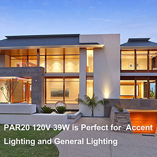 H&Z Par20 Flood 39W 120V 480 Lumens, High Output 6 Pack 39W Par20 Halogen Bulb (Equivalent Par20 50W Halogen Bulb), Long Lasting Par20 Flood 39W 120V With 3000K Warm White, Par20 E26 Dimmable #TOP6