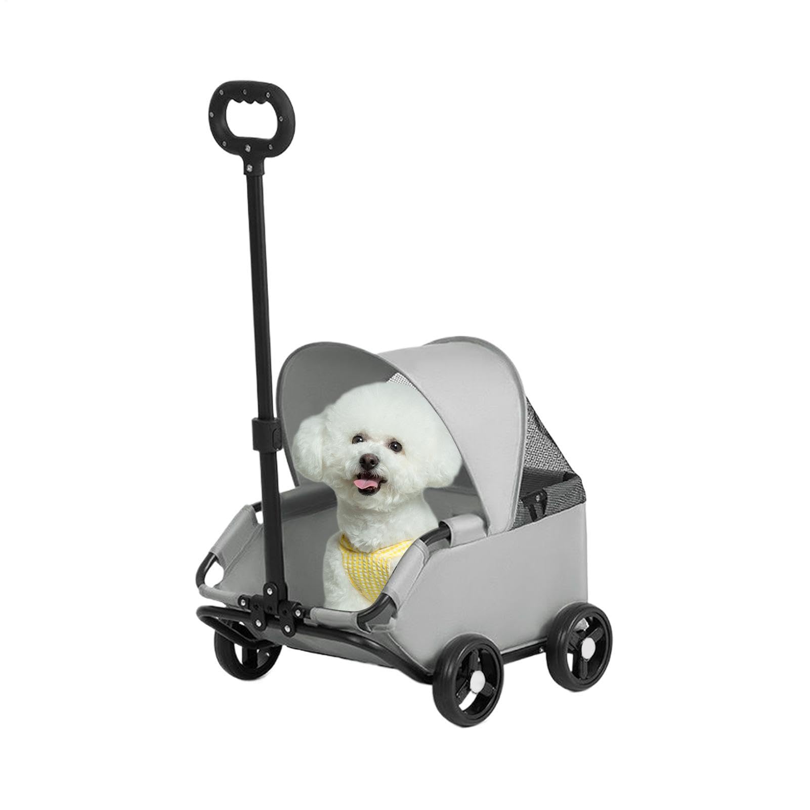 Katzenwagen Belüftete Kätzchen-Transportbox