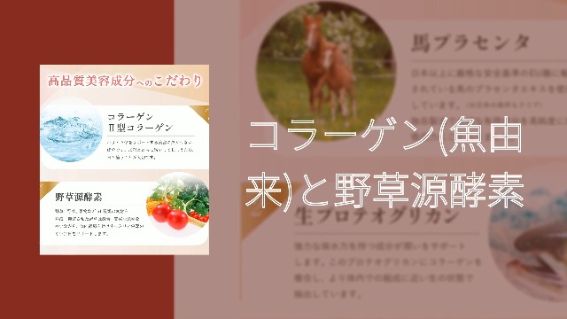 酵素ドリンク コラーゲン 馬 プラセンタ 500ml