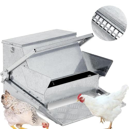 Comedero automático para pollos y aves de corral, acero galvanizado, resistente a la intemperie y a prueba de derrames, ideal para faisanes y otras aves