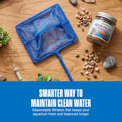 Image of Penn-Plax Quick-Net Aquarium Fish Net - 8 x 6 in Fine Mesh, 10 in Vinyl-Covered Braided Handle - Small Aquarium Cleaning Tool for Gentle Fish Handling - Use in Freshwater & Saltwater Tanks - Blue