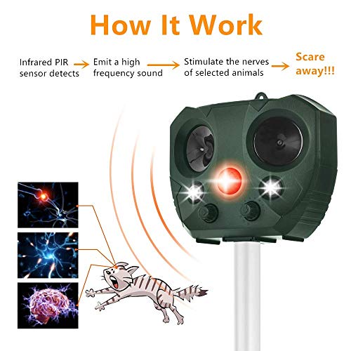 ZOVENCHI Ultrasonic Animal Pest Repeller Review Solar Panel America