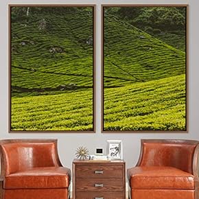 signwin 2 Piece Framed Canvas Wall Art Greenlands...