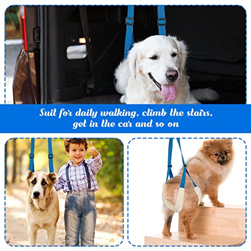 2 Pcs Dog Support Harness For Back Legs Dog Rear Lifting Sling Aid With Handle And Shoulder Strap Hind Leg Support For Pet Mobility Helps Dogs With Poor Stability, Arthritis, Joint Injuries (Blue) #TOP6