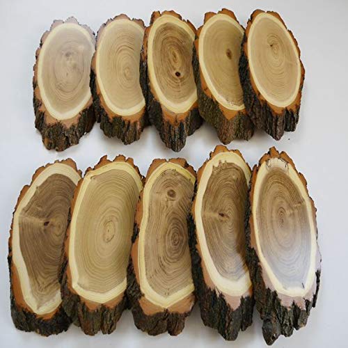 GTK - Geweihe & Trophäen KRUMHOLZ 10 carteles de madera de acacia REH para trofeos grandes de corzo, disco de árbol