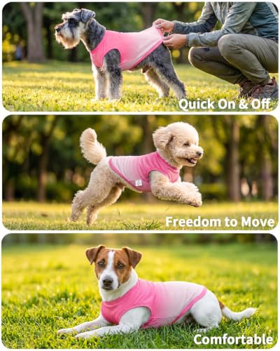 Image of CuteBone Ombre Dog Tank Top for Small Dogs, Cats - Tropical Summer Pet Vest - Breathable Ice Silk Cooling Shirt - Sun Protection, Photo, Casual Play, Walks