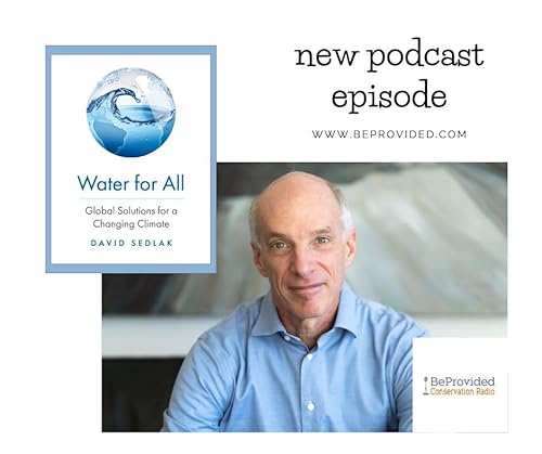 Navigating the Future of Water: Professor Sedlak's Vision for Sustainable Water Solutions