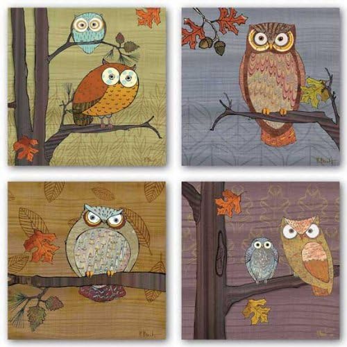 Awesome Owls Set by Paul Brent 8"x8" Art Print Poster
