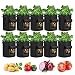 Ledph Vasi in Tessuto Geotessile, Vasi per Pomodori in Terrazzo 5/7/10 Galloni Grow Bag, Sacchi per Patate Non Tessuto, Vasi per Pomodori, Nero,10pcs,10 Gallon