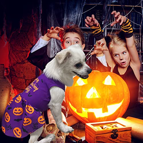 Dog Halloween Witch Dresses Costumes Puppy Skirts Apparel For Funny Pumpkin Head/Bat Party Dress Cosplay Halloween Costume For Small Medium Dogs Cats (X-Large, Purple) #TOP4